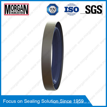 NBR/FKM Tb/BS Type Outer Skeleton Double Lips Oil Seal